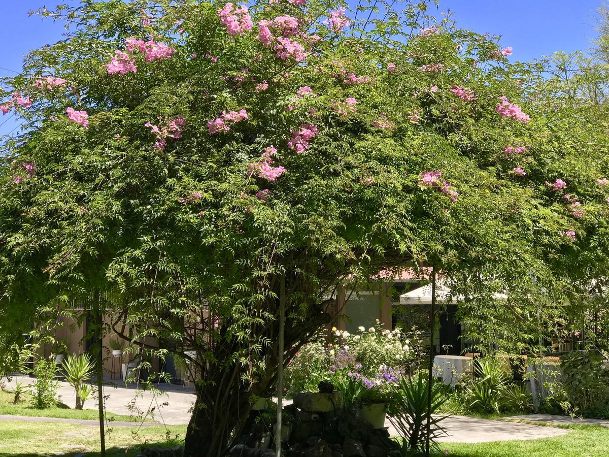 Grace Valley Hotel Arequipa Exterior foto